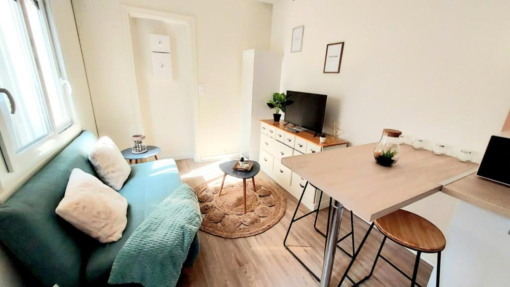 Cosy Yucca - T1 - Quartier des halles & Parking, Pau