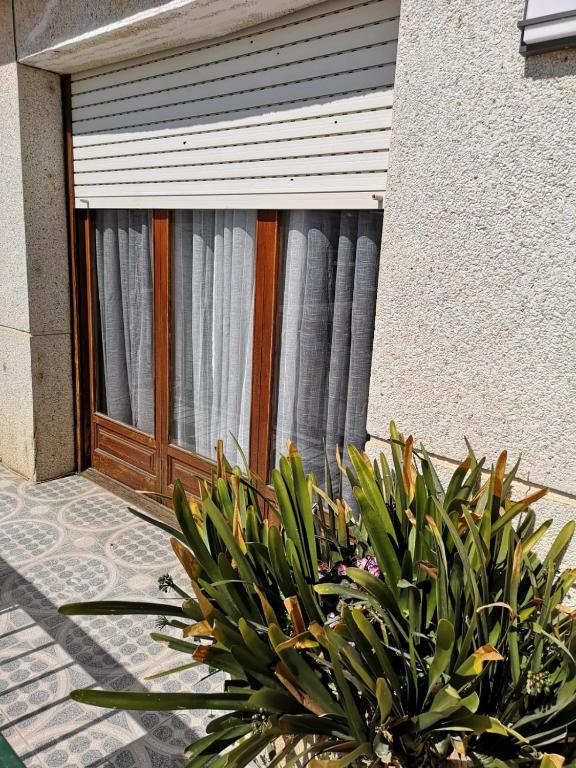 Casa Elena Gersi - 2