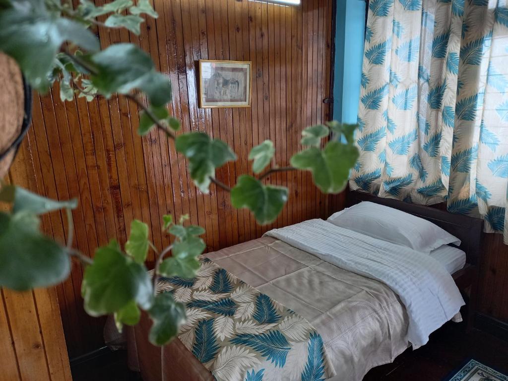 West Point Backpackers Hostel photo
