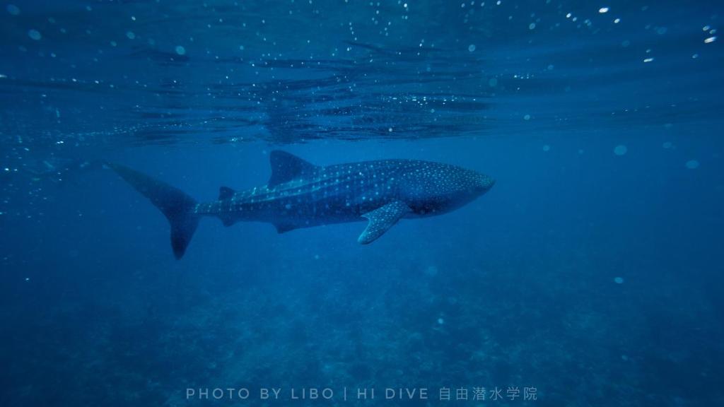 Sunrise by white sand dhigurah, Dhigurah