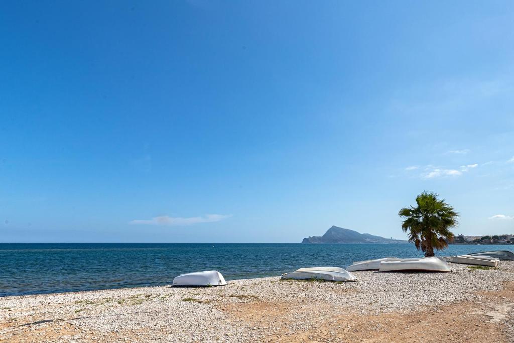 Apartamento Bomy - 2