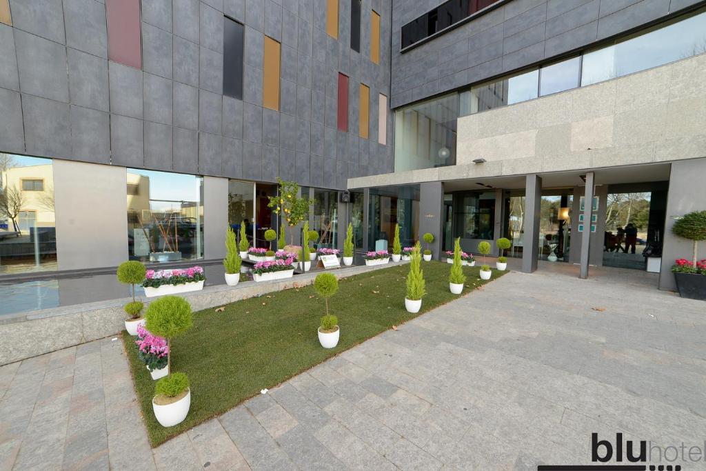 Hotel Blu Puerta de Almansa photo