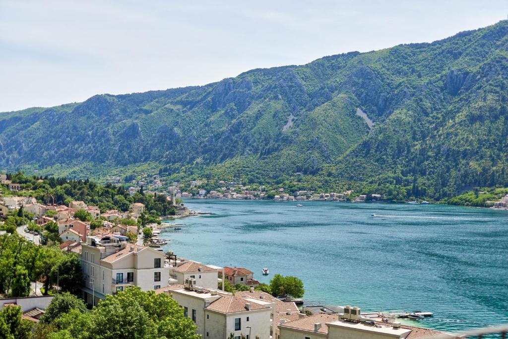 Olga's Piece of Paradise in Kotor - 5