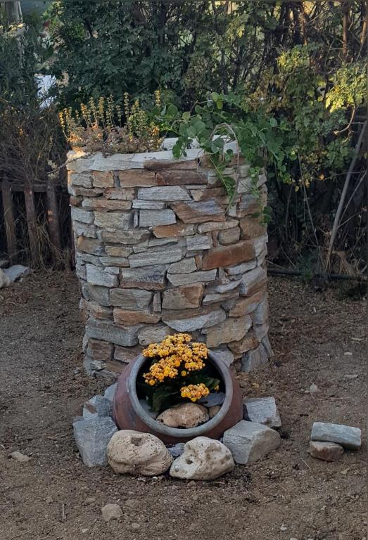 Villa Matina Naxos - Mikri Vigla photo