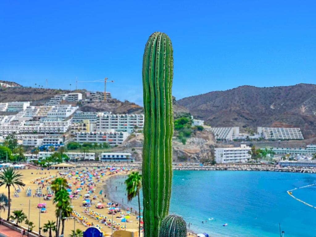 Punta Del Rey Only Adults — Beach in Puerto Rico, Canary Islands