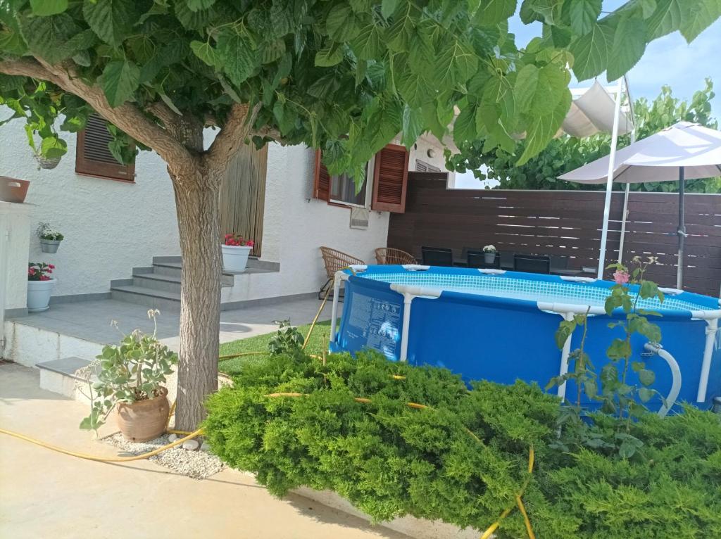 Casa Tequila - 5