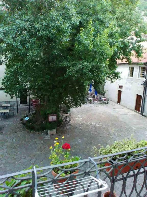 Guesthouse Nikoleta, Kotor