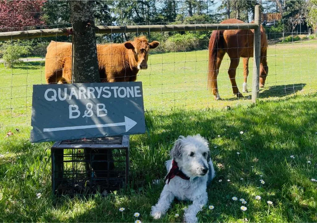 Quarrystone House B&B, hotel in Fernwood