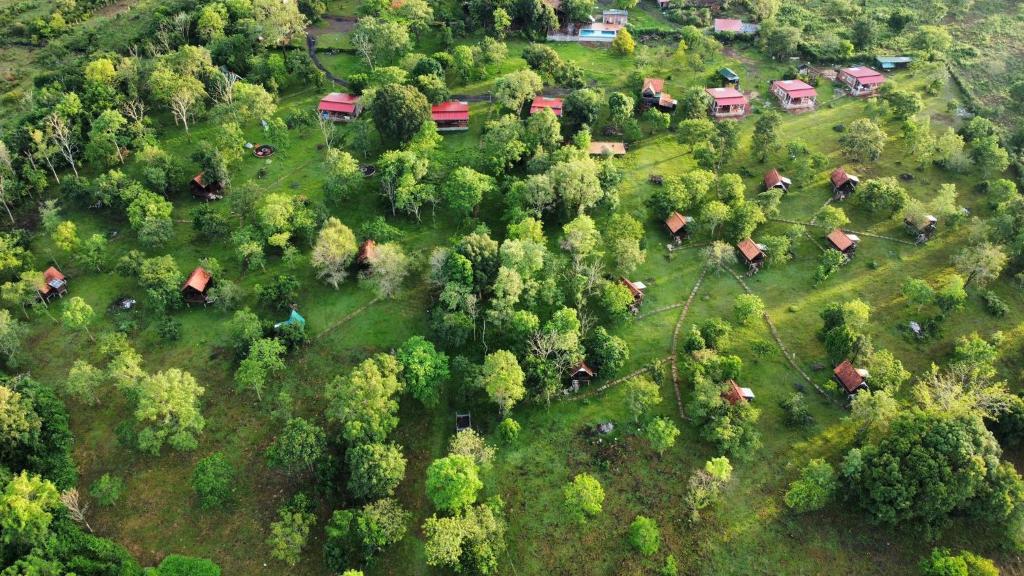 Nature Lodge photo