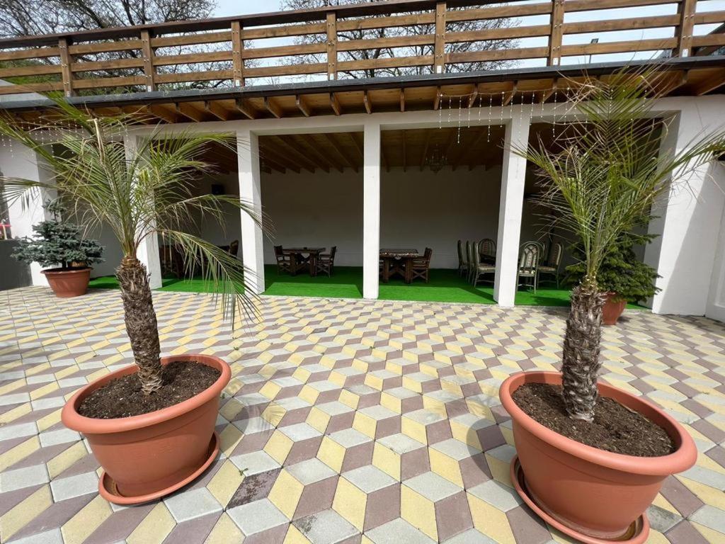 Casa Sofia