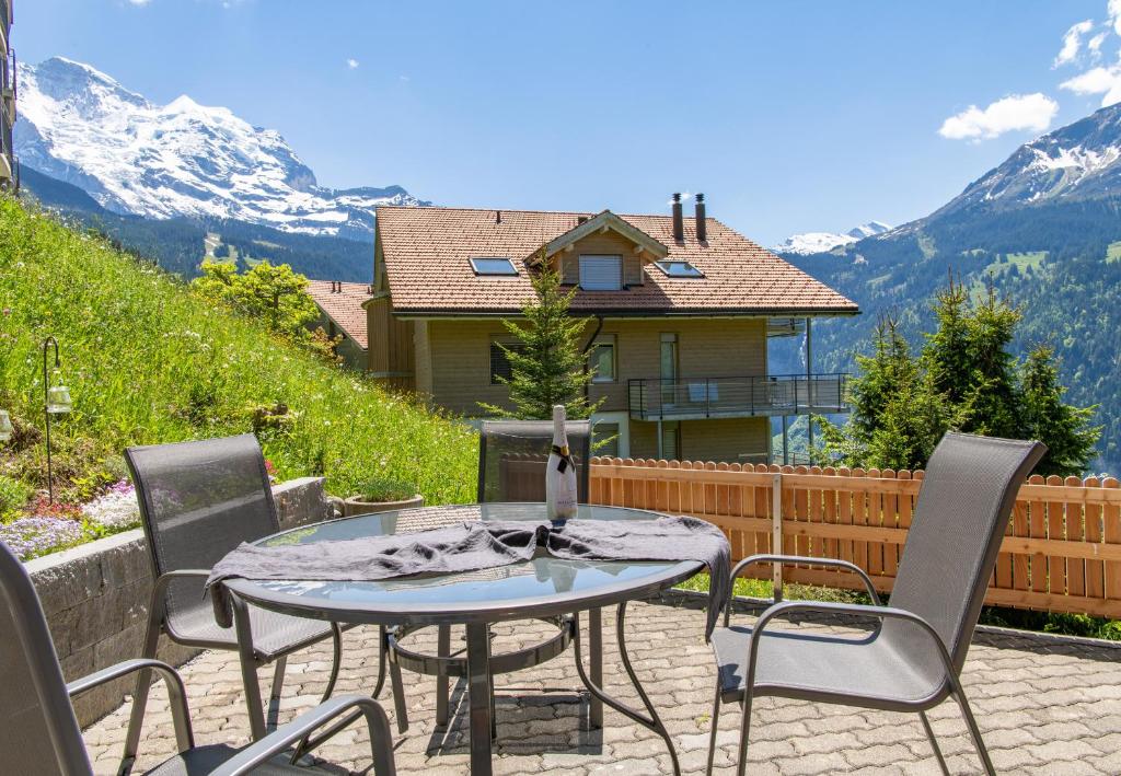 Chalet Panorama - 2