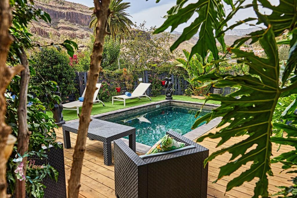 Finca OASIS Fataga - 2