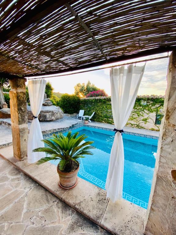 Finca Oase photo