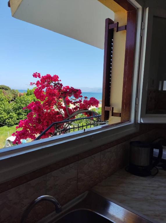 Ever Green beach Apartments — Kavos, Ionian Islands