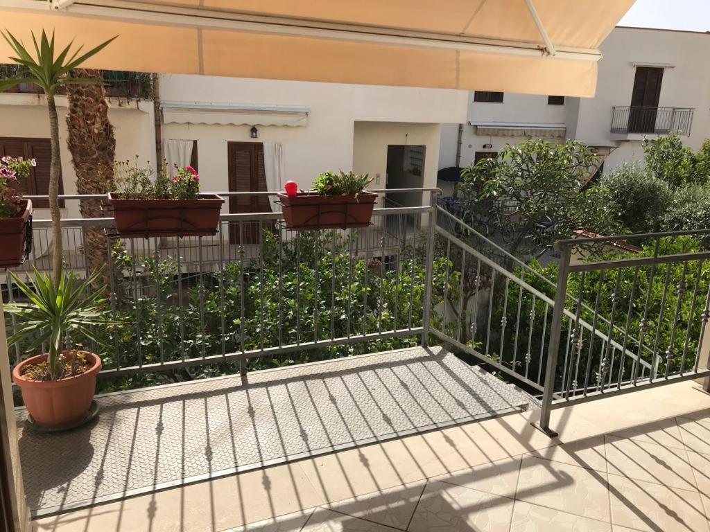 IL PICCOLO GIARDINO - 2