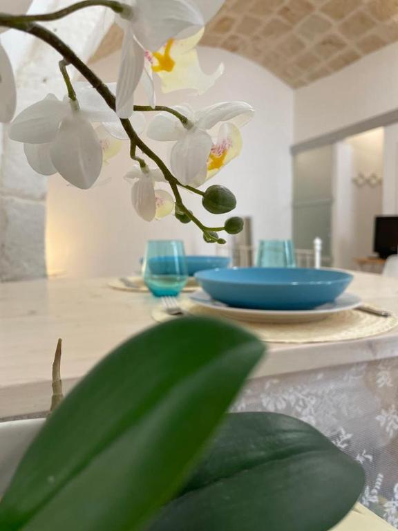 Maison Anthea - 2