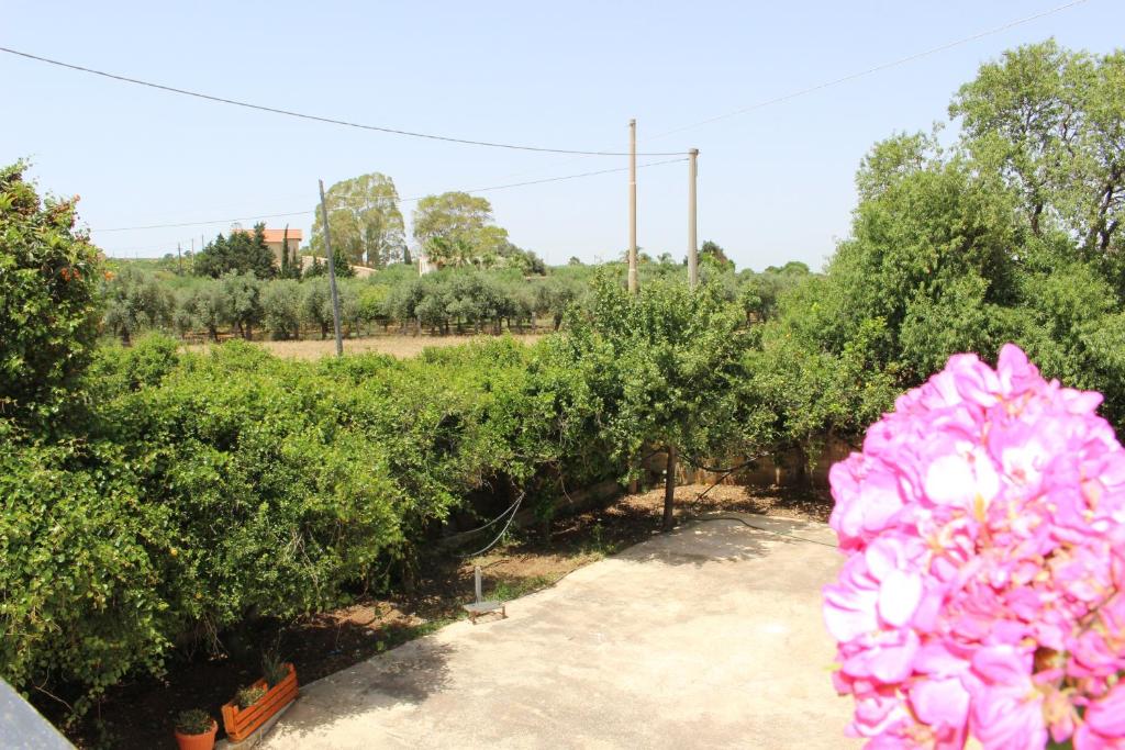 Il Casello Country House Parcheggio gratuito - 2