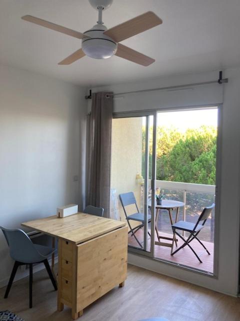 Charmant studio refait à neuf CARNON port 34 - 3