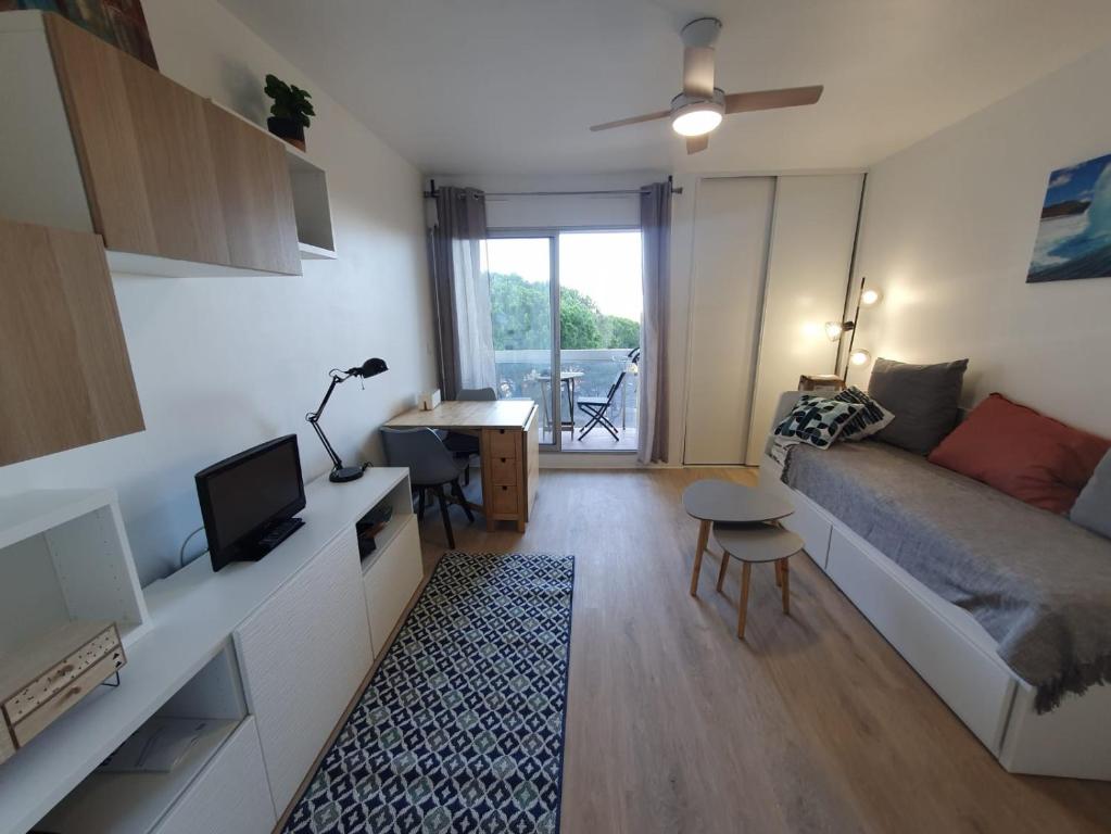 Charmant studio refait à neuf CARNON port 34 - 4