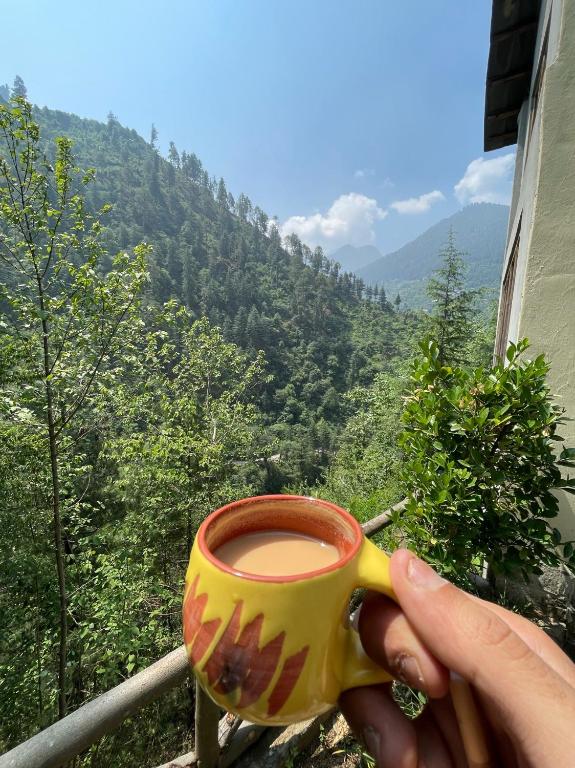 The Whispering Woods, Tirthan Valley photo