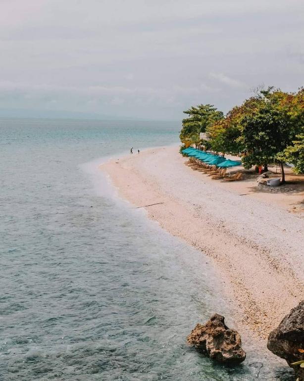 Bluewater Sumilon Island Resort photo