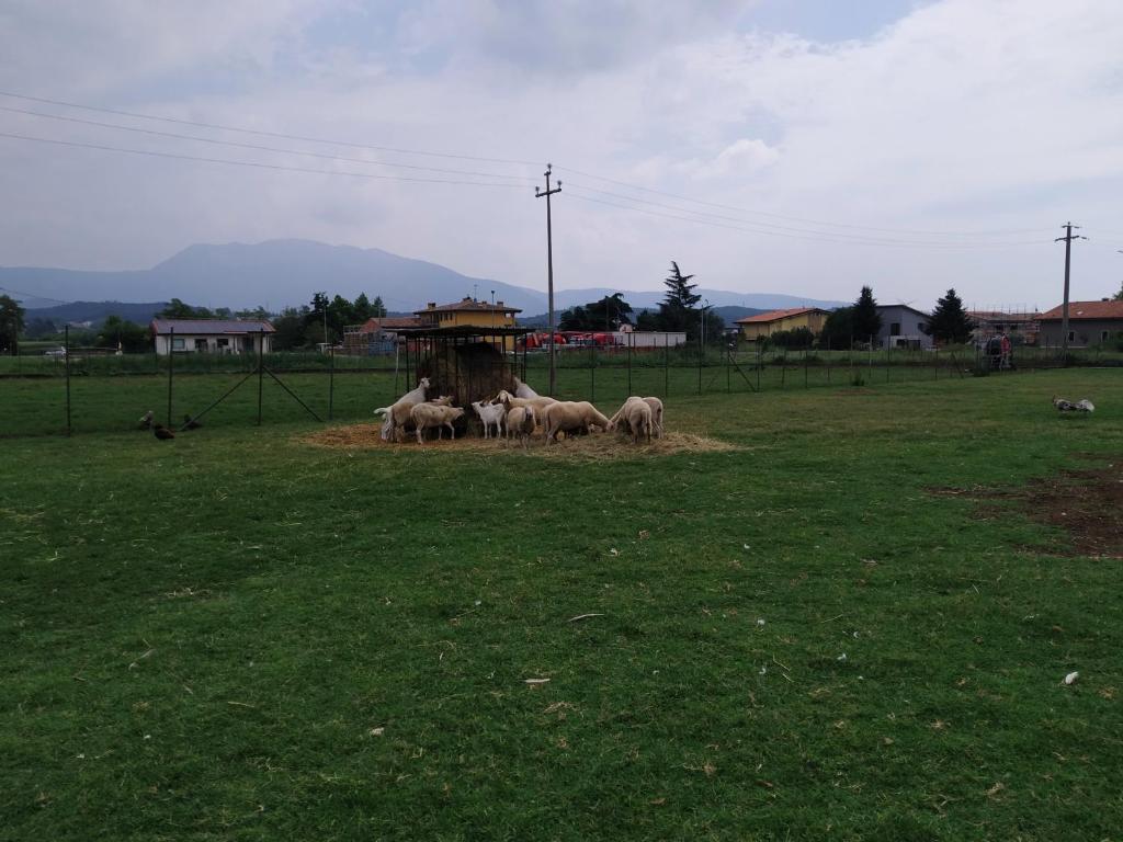 Ca Del Ponte photo