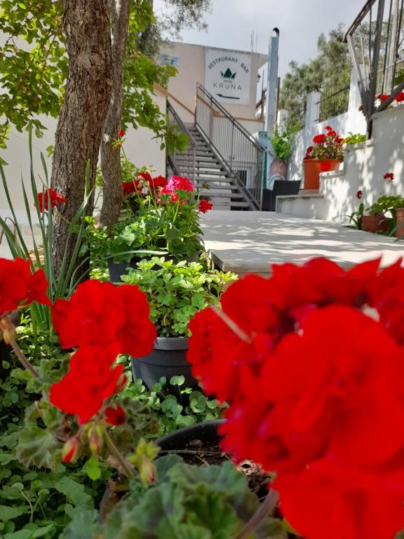 " Villa Kruna Lux " - 4