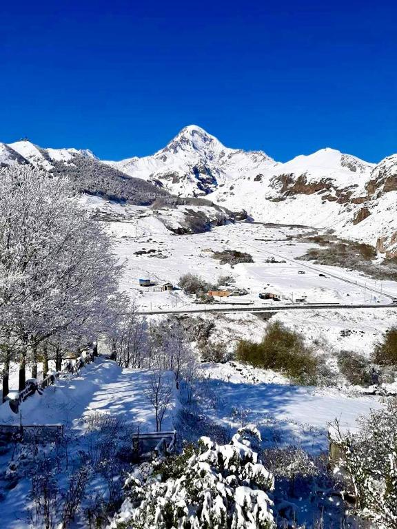 Kazbegi Inn photo