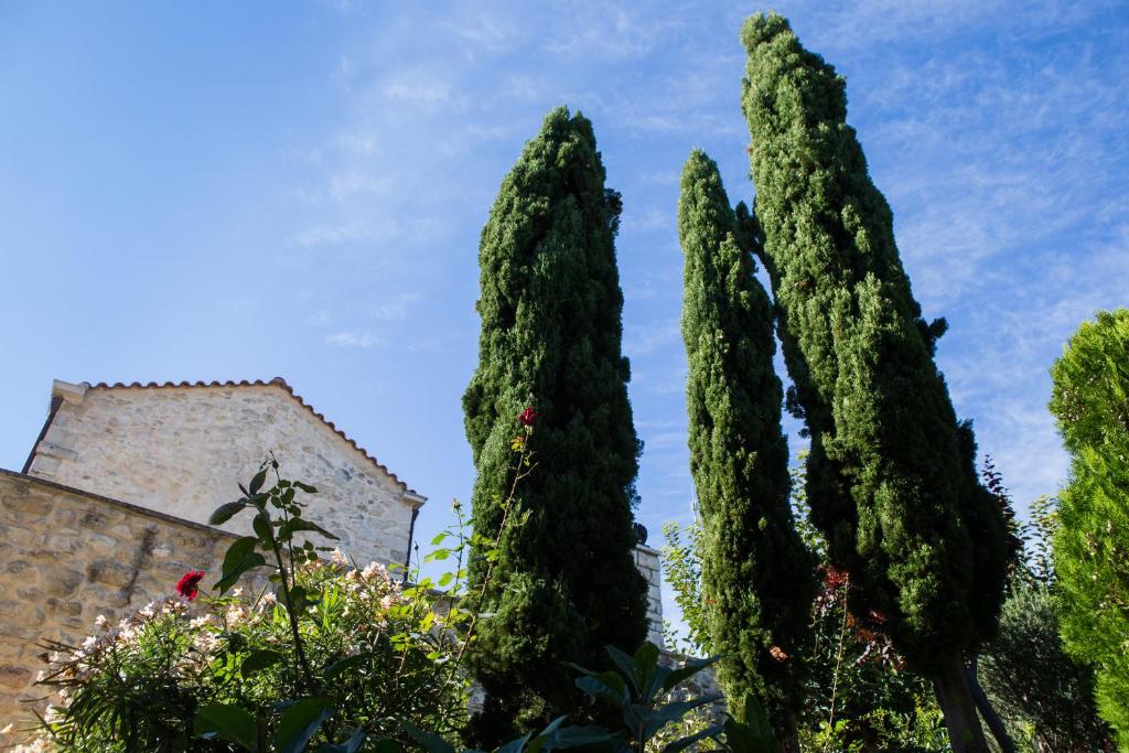 Surrounding environment