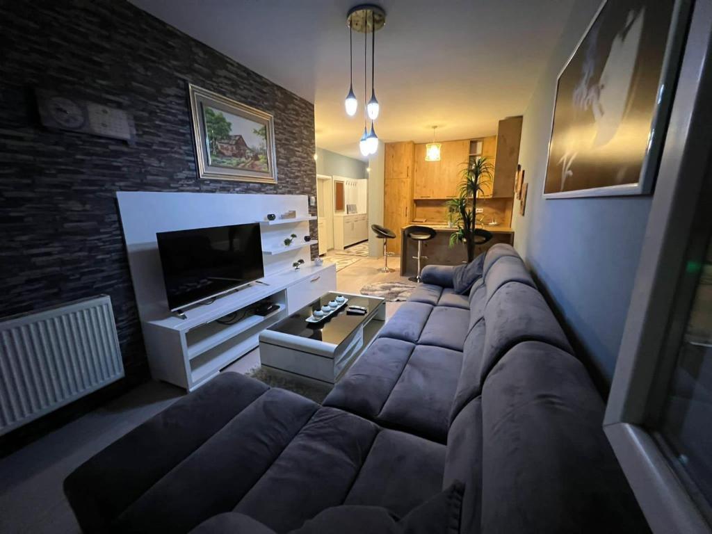 Luxurious Apartment