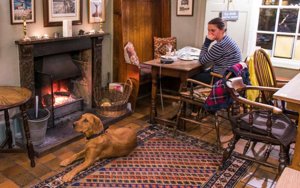 Luttrell Arms photo