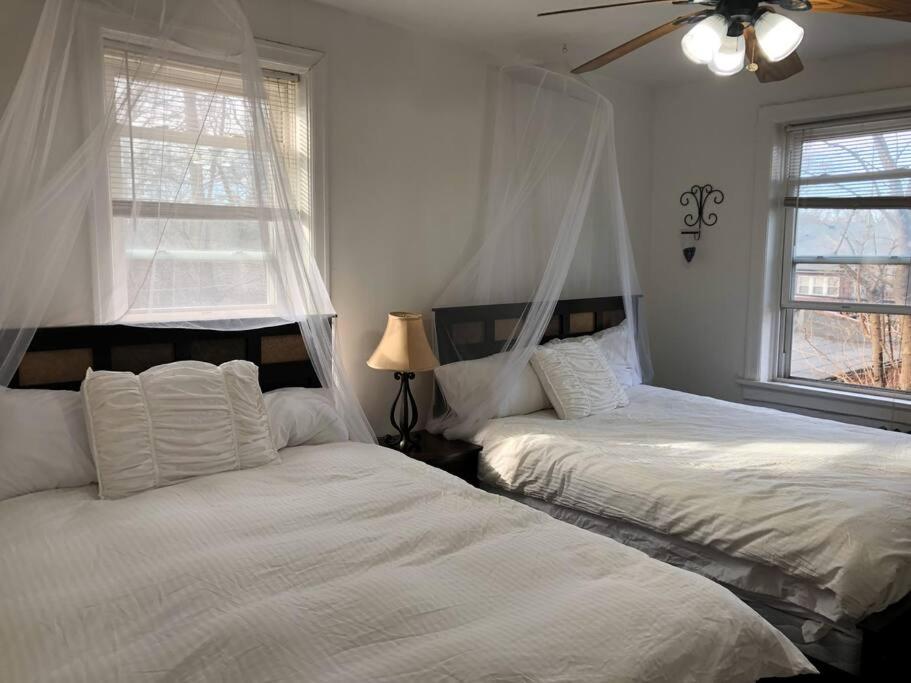 Ảnh 2