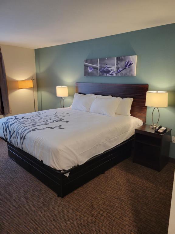Sleep Inn & Suites - Coliseum Area photo