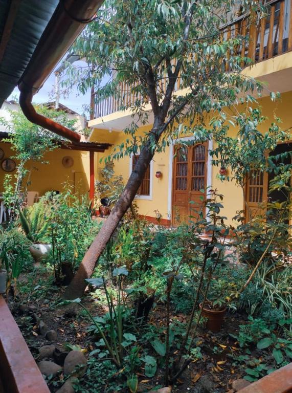 El Capuli — Hotel in Cajamarca