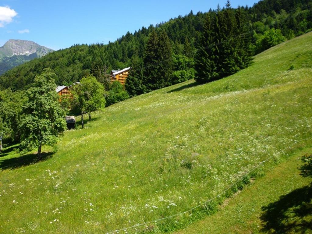 2 pièces à louer à St Jean d'Aulps, 100m des pistes - 2