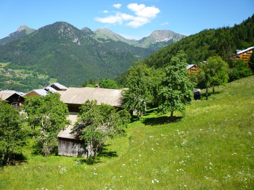 2 pièces à louer à St Jean d'Aulps, 100m des pistes - 3