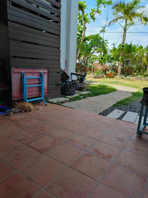 Julie's Garden photo