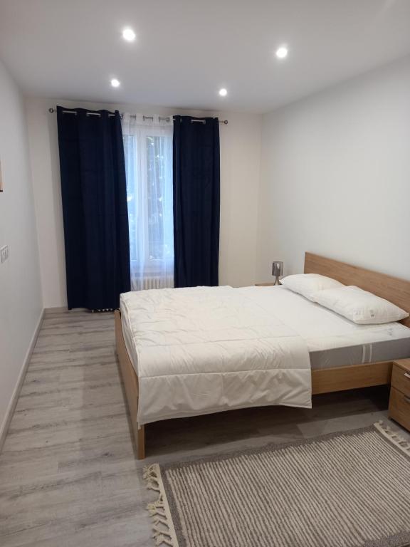 Appartement Standing Cœur d'Annecy - 4