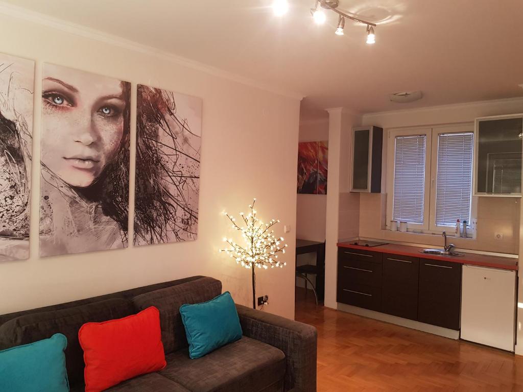 Rajiceva 5- apartman sa prostranom terasom i garaznim mestom - 4