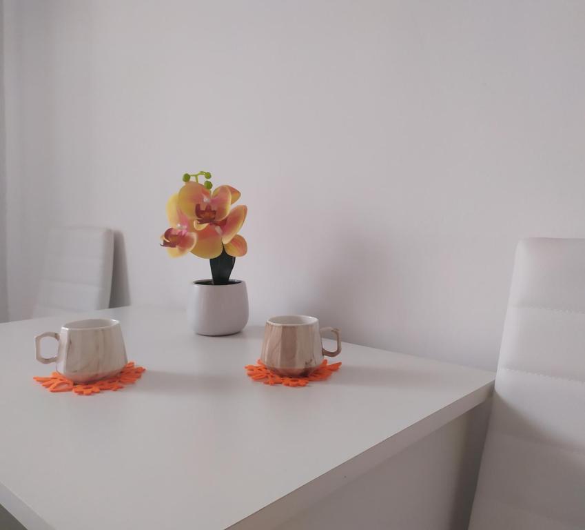 Apartman LEO, Bečej