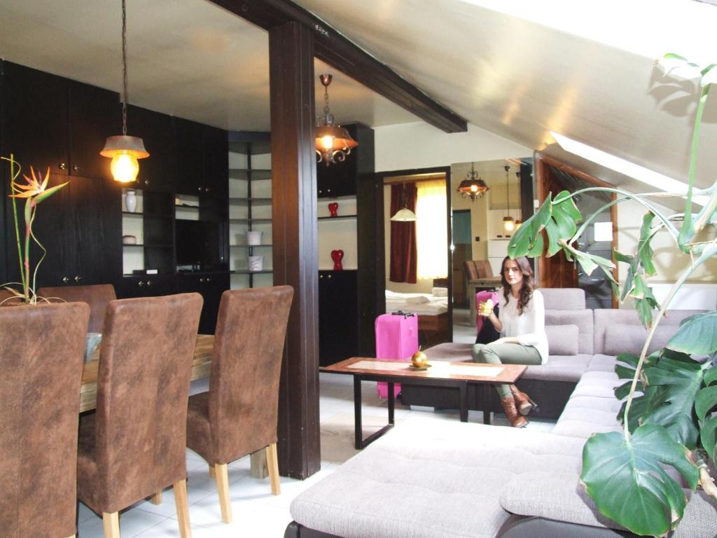 Thermal Panzio Sarvar 共用ラウンジ/TVエリア