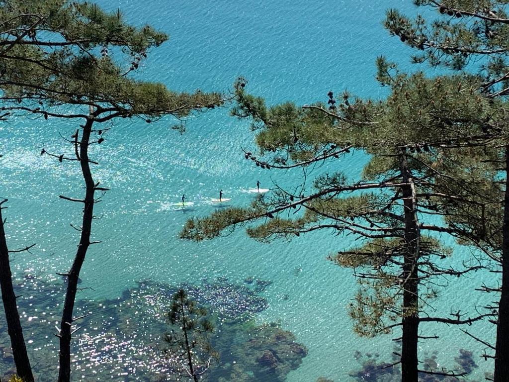 Surrounding environment