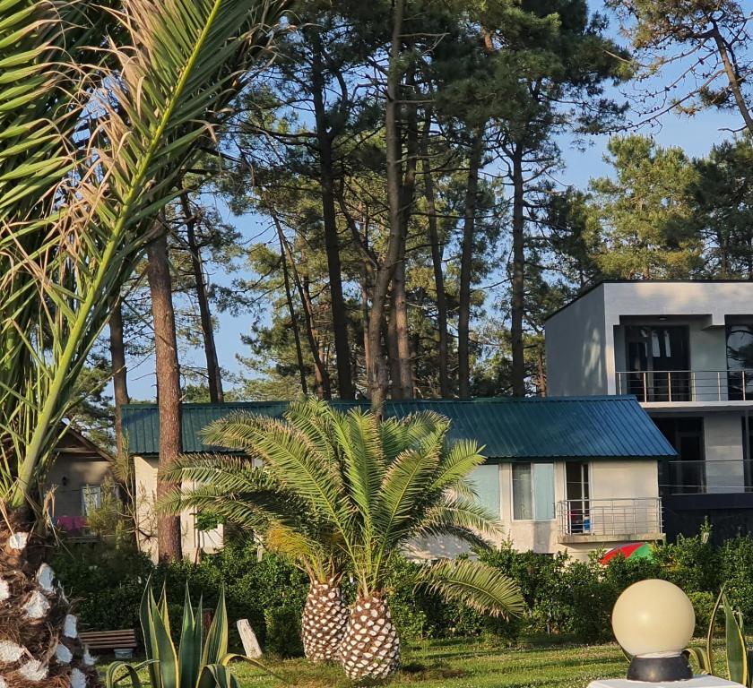 Грузия григолети Грузия григолети