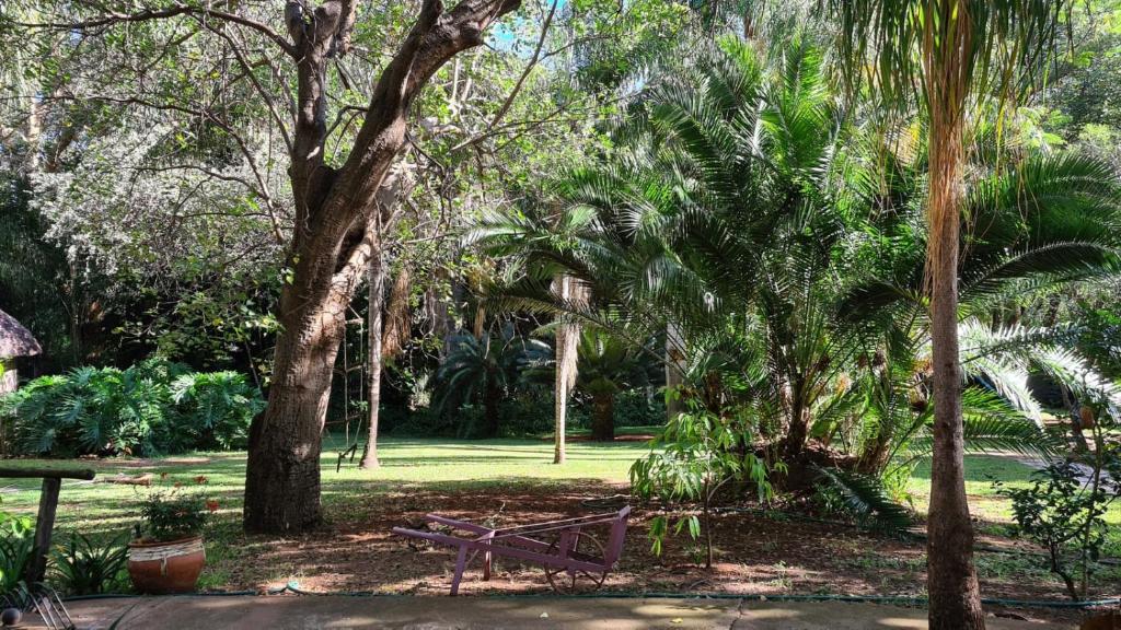 Northwich Game Ranch, Louis Trichardt