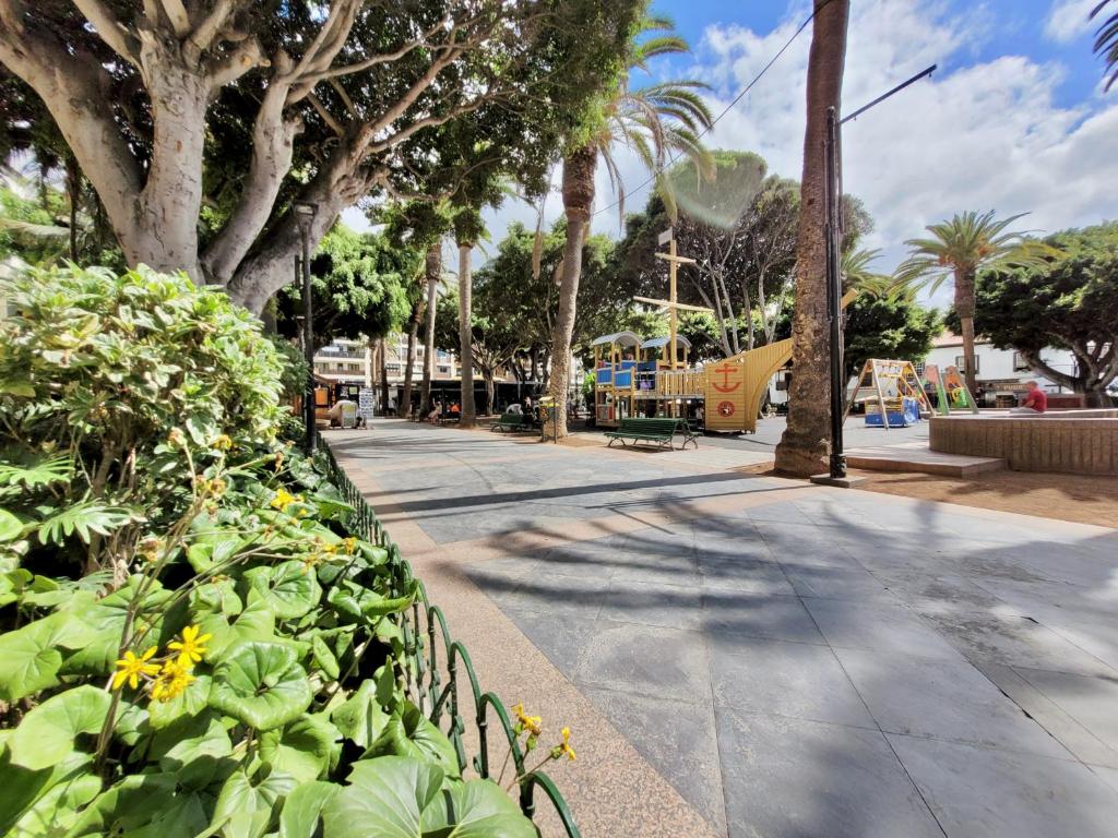 Apartamento Plaza del Charco - 5
