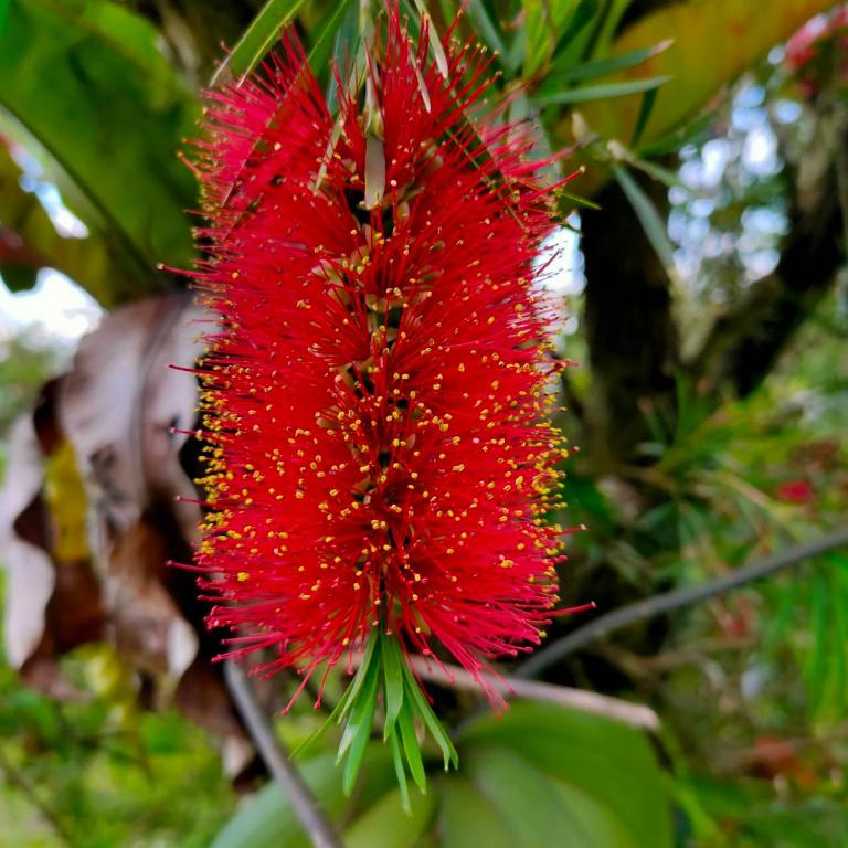 Surrounding environment