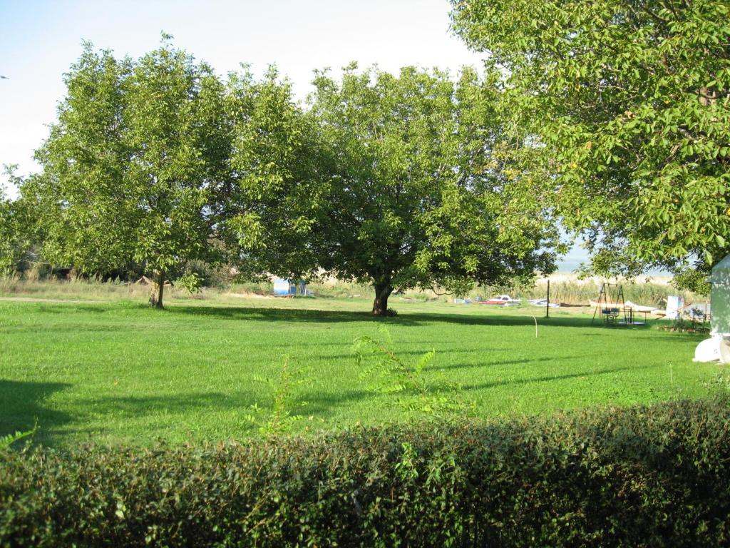 Apartmani Alex Beach photo