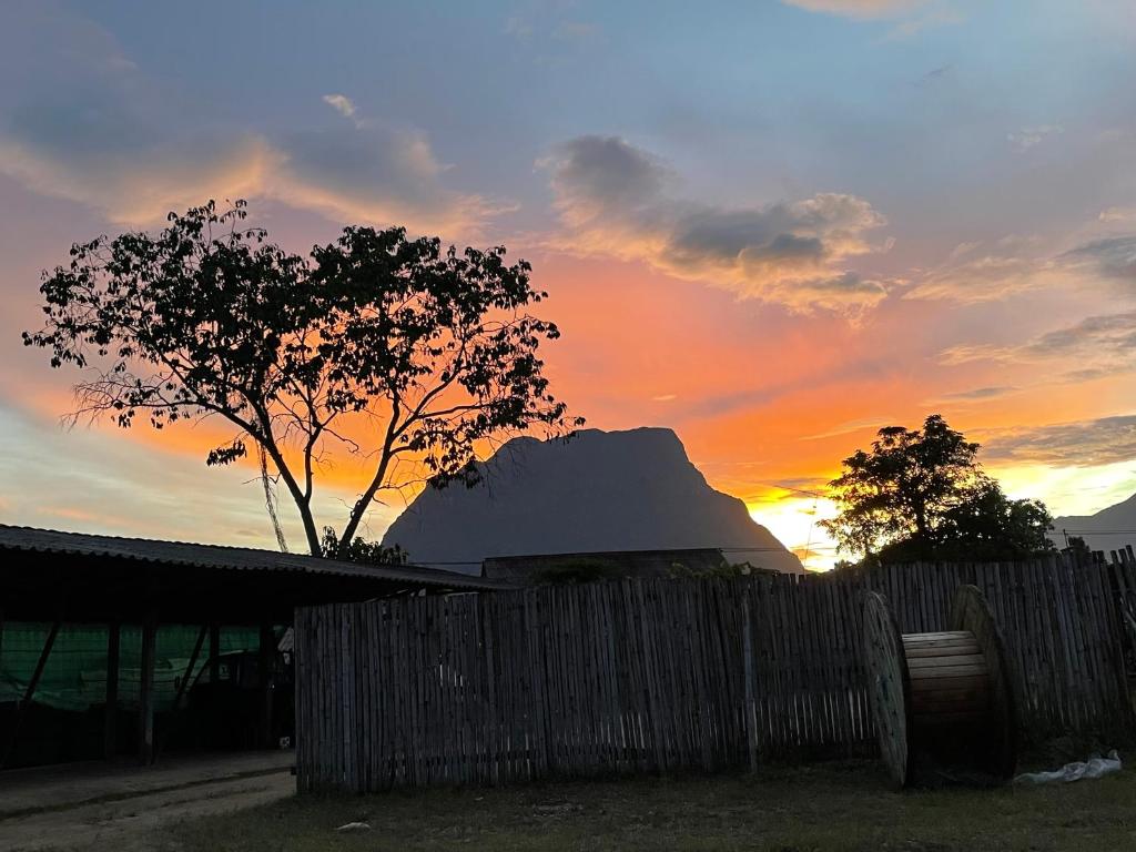 Chiang Dao Hostel photo