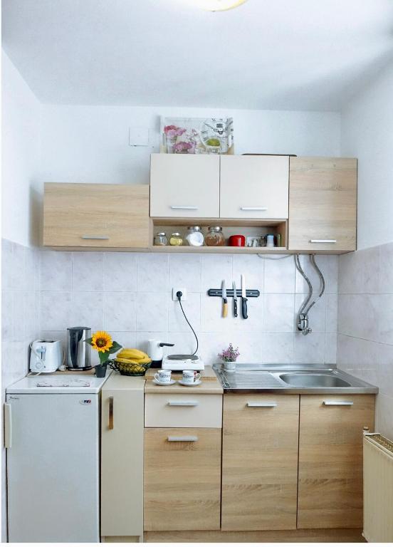 Apartman Zlatno Brdo - 5
