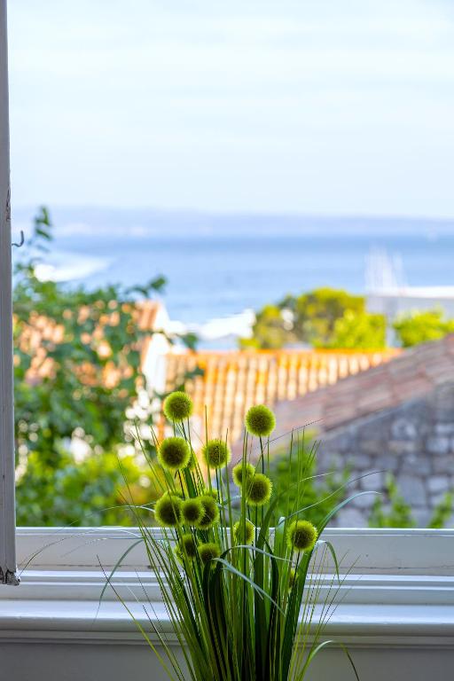 Luxury Villa Majestic @ Split Centre photo